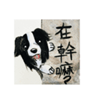 Border Collie - Zaoz（個別スタンプ：19）