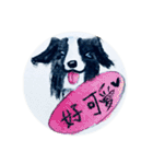 Border Collie - Zaoz（個別スタンプ：21）