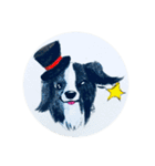 Border Collie - Zaoz（個別スタンプ：22）