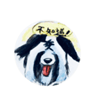 Border Collie - Zaoz（個別スタンプ：24）