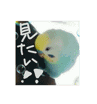 ぷりぴのぼたん（個別スタンプ：20）