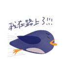 pinpin penguin（個別スタンプ：9）