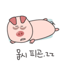 Sweet and lovely, funny pig Alex.KOREAN（個別スタンプ：5）