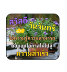 Greeting cards (Thai language)（個別スタンプ：1）