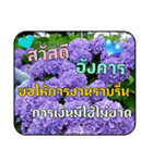 Greeting cards (Thai language)（個別スタンプ：2）