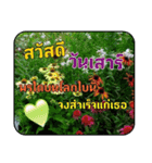 Greeting cards (Thai language)（個別スタンプ：6）