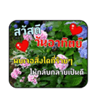 Greeting cards (Thai language)（個別スタンプ：7）