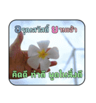 Greeting cards (Thai language)（個別スタンプ：23）