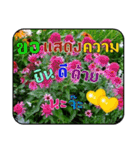 Greeting cards (Thai language)（個別スタンプ：24）