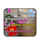 Greeting cards (Thai language)（個別スタンプ：25）