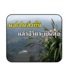 Greeting cards (Thai language)（個別スタンプ：32）