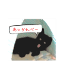 choco.moka（個別スタンプ：3）