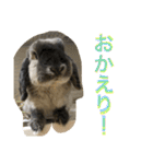 Mellow the rabbit 3（個別スタンプ：5）