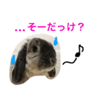 Mellow the rabbit 3（個別スタンプ：34）