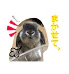 Mellow the rabbit 3（個別スタンプ：39）