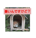 むぎ様スタンプ（個別スタンプ：4）