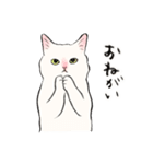 キジトビ(日本猫)修正版（個別スタンプ：9）