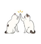 キジトビ(日本猫)修正版（個別スタンプ：12）