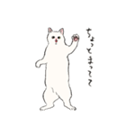キジトビ(日本猫)修正版（個別スタンプ：22）