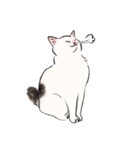 キジトビ(日本猫)修正版（個別スタンプ：24）