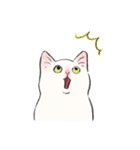 キジトビ(日本猫)修正版（個別スタンプ：31）