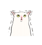 キジトビ(日本猫)修正版（個別スタンプ：32）