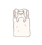 キジトビ(日本猫)修正版（個別スタンプ：36）
