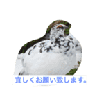 鳥好きです。（個別スタンプ：2）