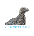 鳥好きです。（個別スタンプ：6）