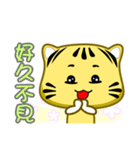 Cute striped cat. CAT135（個別スタンプ：18）