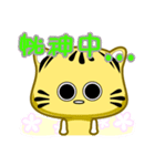 Cute striped cat. CAT135（個別スタンプ：24）