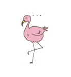 Fancy Flamingo（個別スタンプ：10）