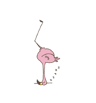 Fancy Flamingo（個別スタンプ：17）