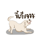 Very good, dog. - Talking dog.（個別スタンプ：15）