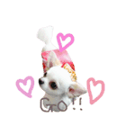 xxloveanimalsxx（個別スタンプ：5）