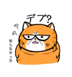 No Cat 2(Japanese)（個別スタンプ：17）