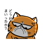 No Cat 2(Japanese)（個別スタンプ：21）