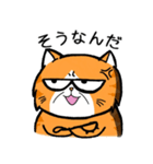 No Cat 2(Japanese)（個別スタンプ：33）