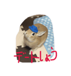 rabbit picuture cute（個別スタンプ：2）