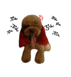 POODLE AI（個別スタンプ：9）