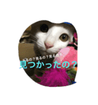 CAT SPEAK2（個別スタンプ：9）