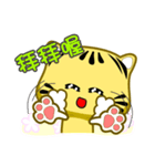 Cute striped cat. CAT137（個別スタンプ：25）