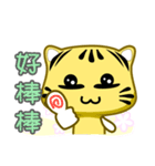 Cute striped cat. CAT138（個別スタンプ：14）