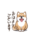 柴犬の日常(よく使う言葉)（個別スタンプ：9）