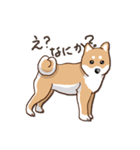 柴犬の日常(よく使う言葉)（個別スタンプ：14）