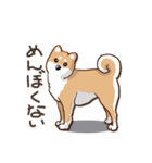 柴犬の日常(よく使う言葉)（個別スタンプ：26）