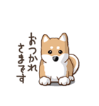 柴犬の日常(よく使う言葉)（個別スタンプ：29）