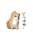 柴犬の日常(よく使う言葉)（個別スタンプ：32）