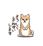 柴犬の日常(よく使う言葉)（個別スタンプ：33）