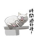 eh！cat！8（個別スタンプ：3）